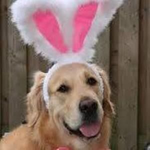 Meet your Posher, Lynne